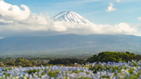 富士山下